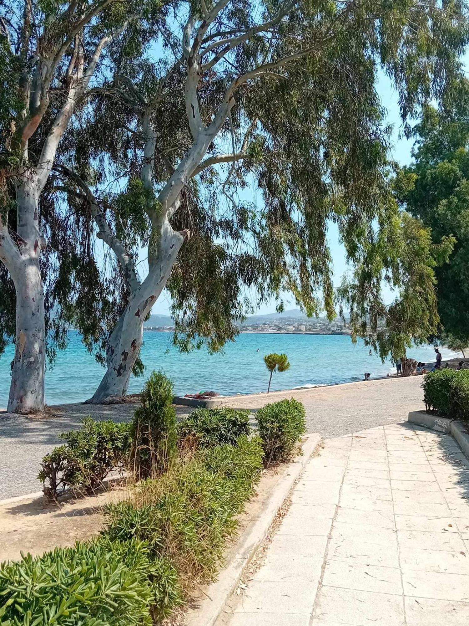 ארטמידה Catherine'S House מראה חיצוני תמונה